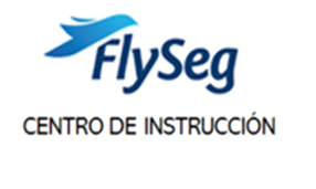 flysegtrainingcenter.milaulas.com